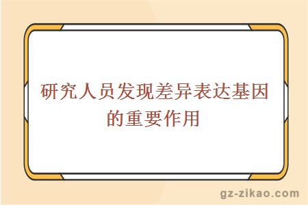 研究