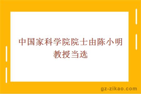中國家科學(xué)院院士由陳小明教授當選 