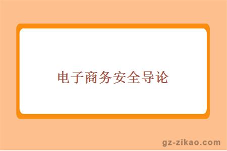 電子商務(wù)安全導論