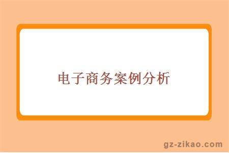 電子商務(wù)案例分析