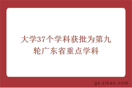 自考專(zhuān)業(yè)