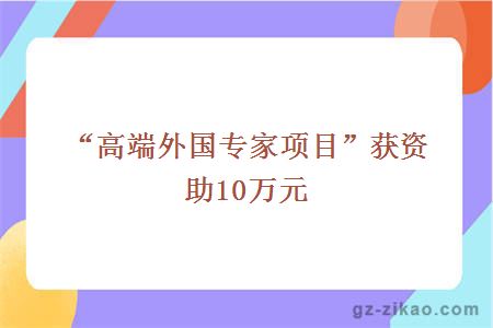 “高端外國專(zhuān)家項目”獲資助10萬(wàn)元