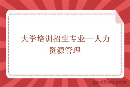 大學(xué)培訓招生專(zhuān)業(yè)--人力資源管理