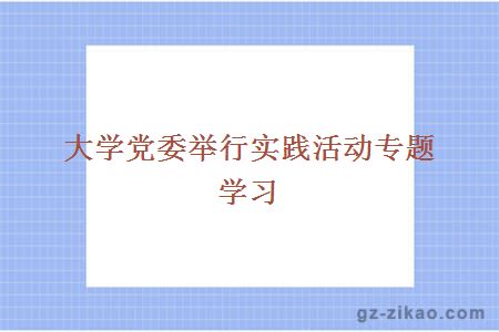 大學(xué)黨委舉行實(shí)踐活動(dòng)專(zhuān)題學(xué)習
