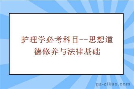 護理學(xué)必考科目--思想道德修養與法律基礎