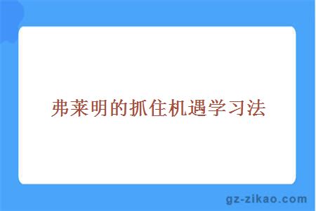 弗萊明的抓住機遇學(xué)習法