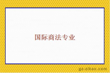 國際商法專(zhuān)業(yè)