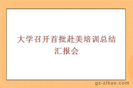赴美總結