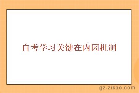 自考建議