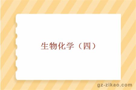 自考專(zhuān)業(yè)