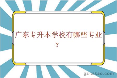 廣東專(zhuān)升本學(xué)校有哪些專(zhuān)業(yè)？