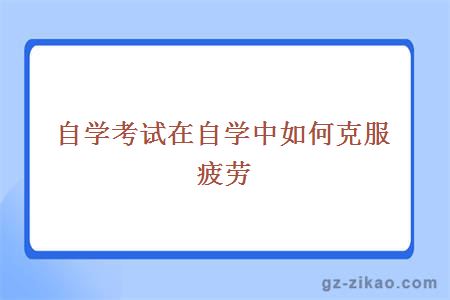 自學(xué)考試在自學(xué)中如何克服疲勞
