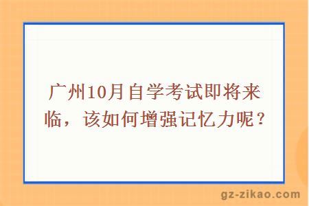 廣州10月自學(xué)考試即將來(lái)臨，該如何增強記憶力呢？