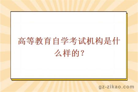 高等教育自學(xué)考試機構是什么樣的？