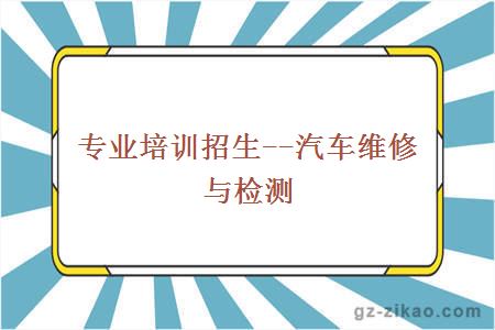 自考專(zhuān)業(yè)
