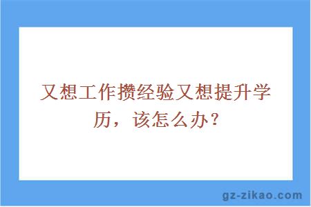 工作經(jīng)驗與學(xué)歷如何抉擇