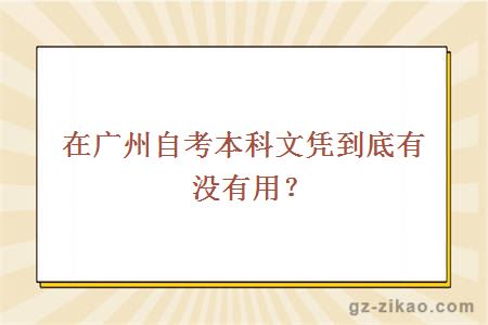 廣州自考本科有用嗎