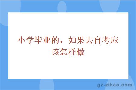 小學(xué)畢業(yè)如何自考