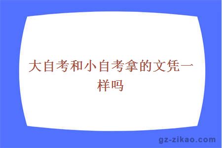 大小自考文憑區別