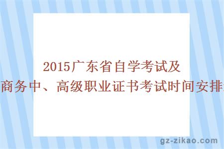 電子商務(wù)證書(shū)