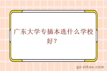 廣東大學(xué)專(zhuān)插本選什么學(xué)校好？