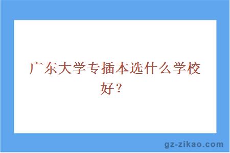廣東大學(xué)專(zhuān)插本選什么學(xué)校好？