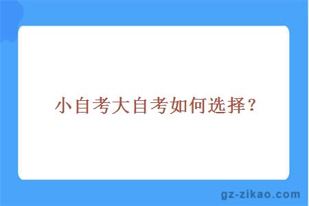 小自考大自考選擇
