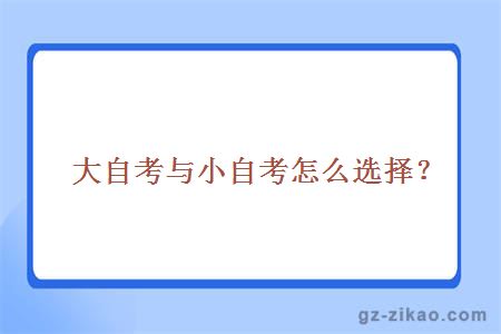 大自考小自考選擇