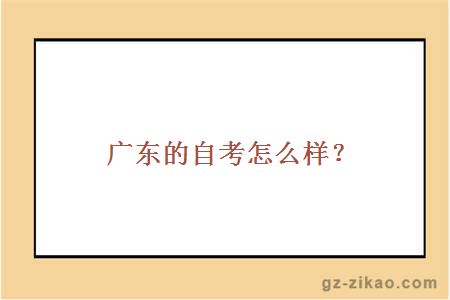 廣東的自考怎么樣？