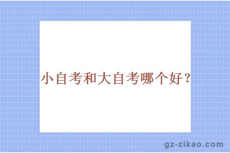 小自考和大自考哪個(gè)好？