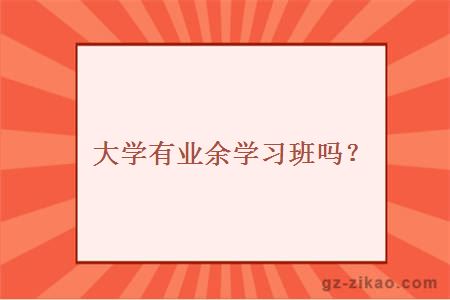 大學(xué)有業(yè)余學(xué)習班嗎？