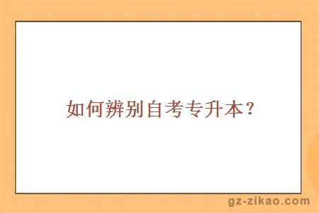 自考專(zhuān)升本