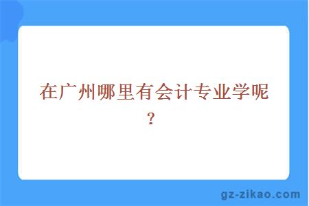 在廣州哪里有會(huì )計專(zhuān)業(yè)學(xué)呢？