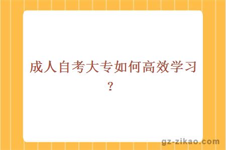 成人自考大專(zhuān)如何高效學(xué)習？