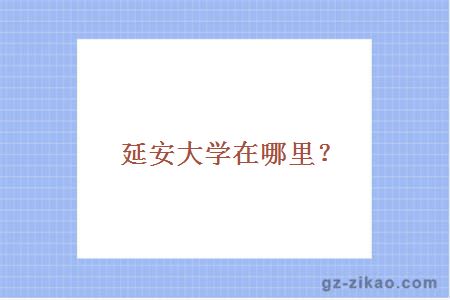 延安大學(xué)自考