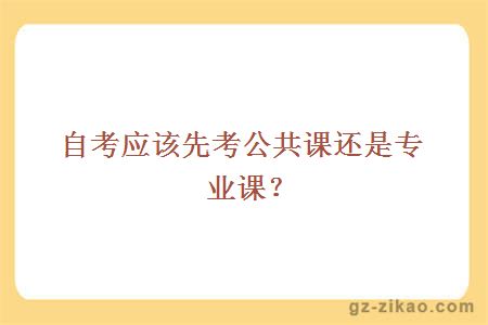 先考公共課還是專(zhuān)業(yè)課