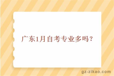 廣州1月自考專(zhuān)業(yè)