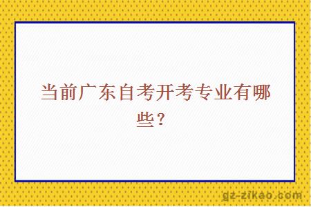當前廣東自考開(kāi)考專(zhuān)業(yè)有哪些？