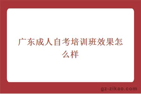 廣東成人自考培訓效果