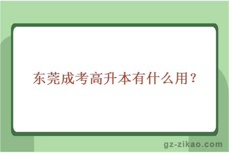 東莞成考高升本