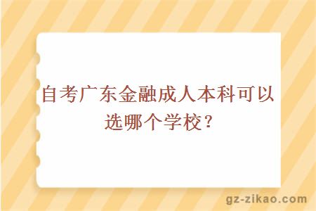 自考廣東金融成人本科可以選哪個(gè)學(xué)校？