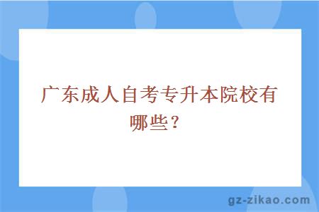 廣東成人自考專(zhuān)升本院校有哪些？