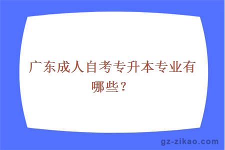廣東成人自考專(zhuān)升本專(zhuān)業(yè)有哪些？