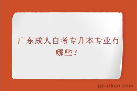廣東成人自考專(zhuān)升本專(zhuān)業(yè)