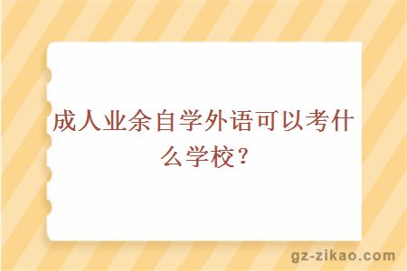 成人業(yè)余學(xué)習外語(yǔ)可考什么學(xué)校