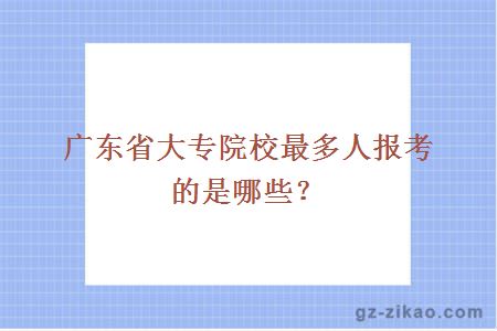 廣東省大專(zhuān)院校最多人報考的是哪些？