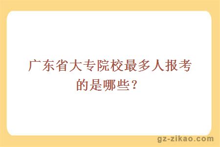 廣東省大專(zhuān)院校最多人報考的是哪些