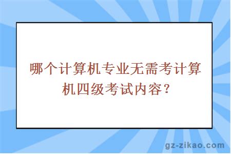 哪個(gè)計算機專(zhuān)業(yè)無(wú)需考計算機四級考試內容？