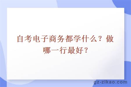 自考電子商務(wù)都學(xué)什么？做哪一行最好？