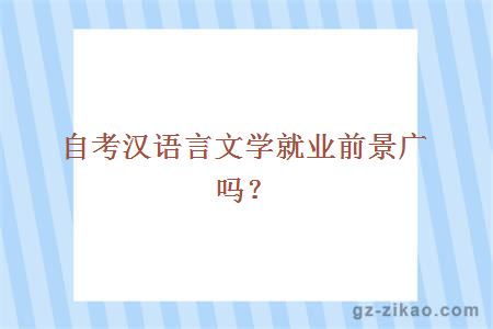 自考漢語(yǔ)言文學(xué)就業(yè)前景廣嗎？
